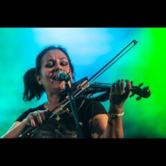 113 – Toxic Frogs (1) 113 toxic frogs (1)