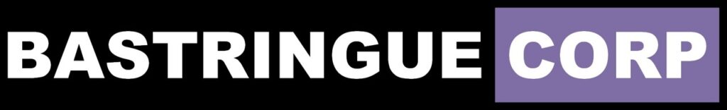 Logo bastringue corp