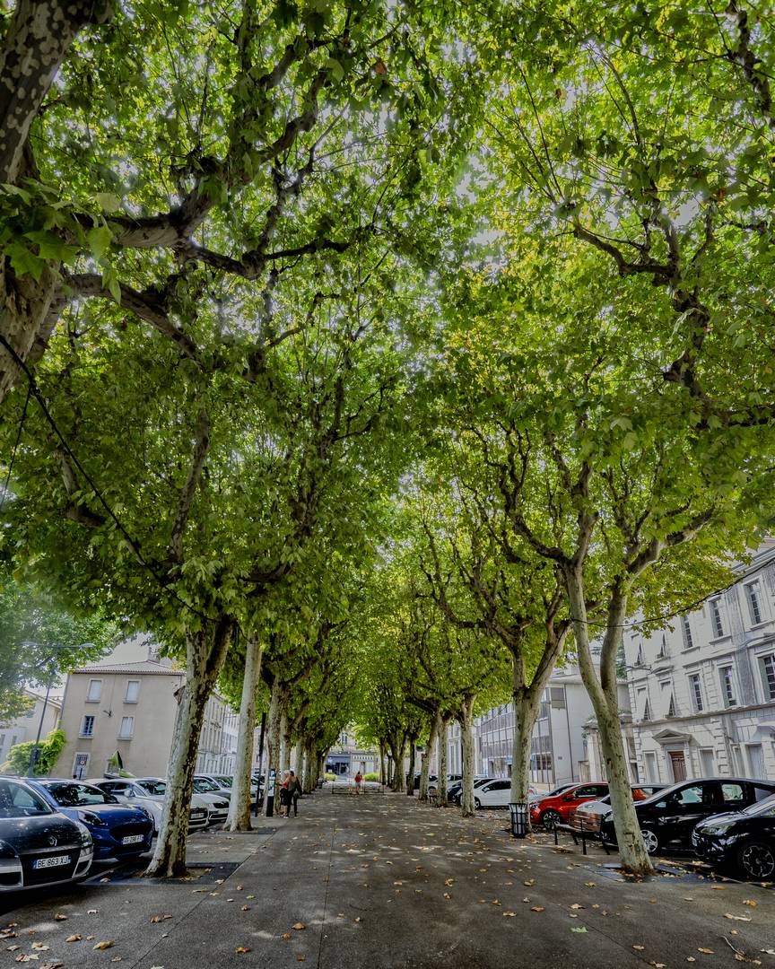 20250821 romans sur isère place jules nadi 2