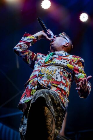 Sylvain Foucaud En Mode Festi Jour 2 4 The Locos (ex Ska P)