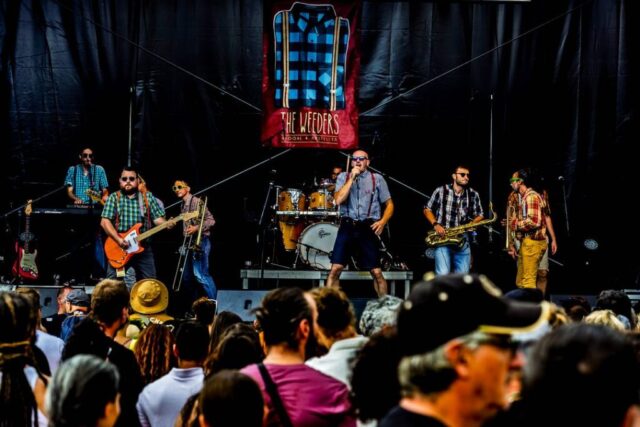 Sylvain Foucaud En Mode Festi Jour 3 1 The Weeders